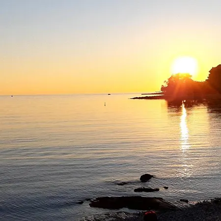 Magnavisum Apartment *