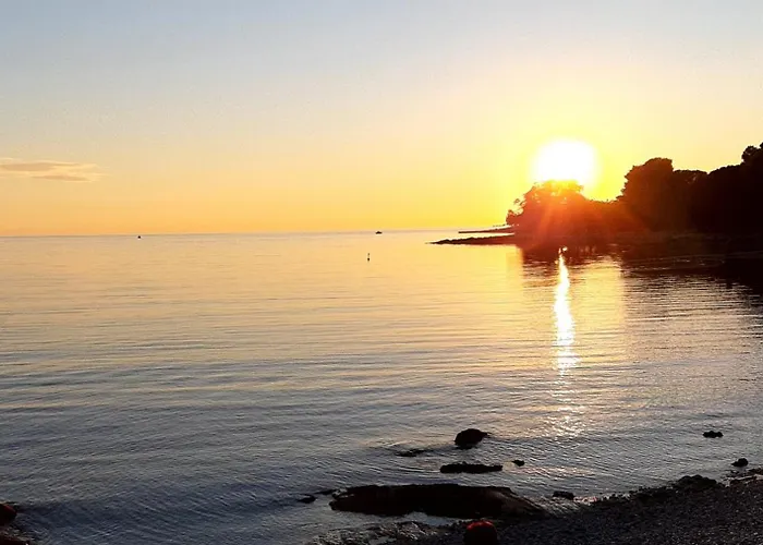 Magnavisum 아파트 *